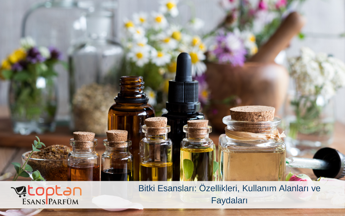Bitki Esansları: Özellikleri, Kullanım Alanları ve Faydaları