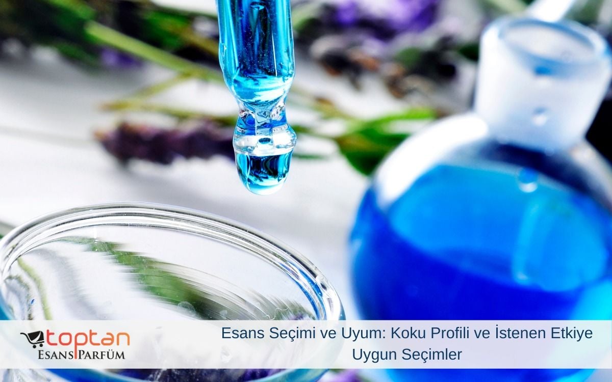 Esans Seçimi ve Uyum: Koku Profili ve İstenen Etkiye Uygun Seçimler