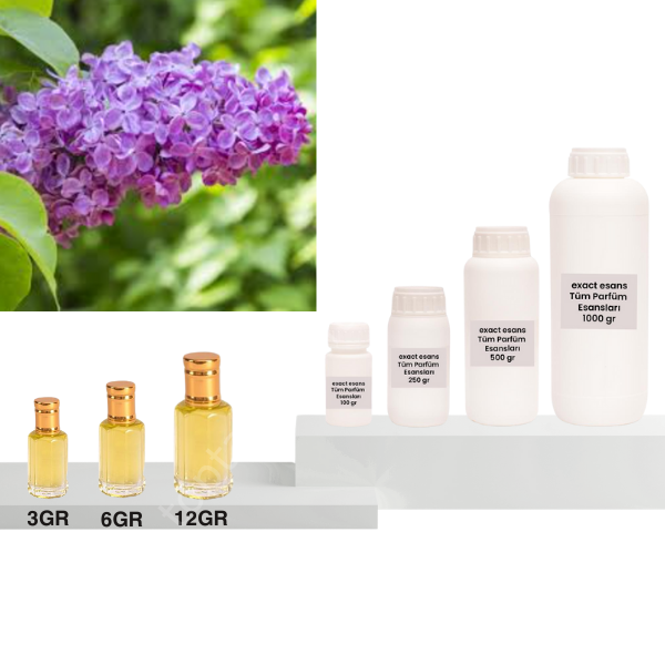 Leylak Esansı Toptan