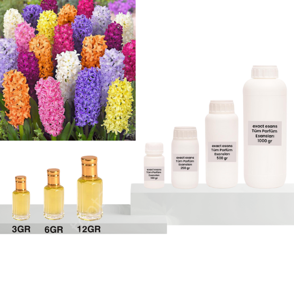 Sümbül Esansı Toptan