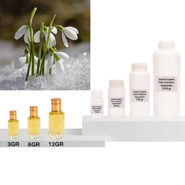 Kar Çiçeği Esansı Toptan