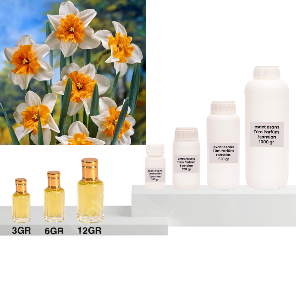 Nergis Esansı Toptan