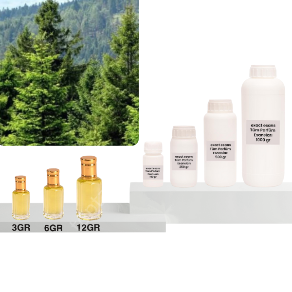 Çam Esansı Toptan