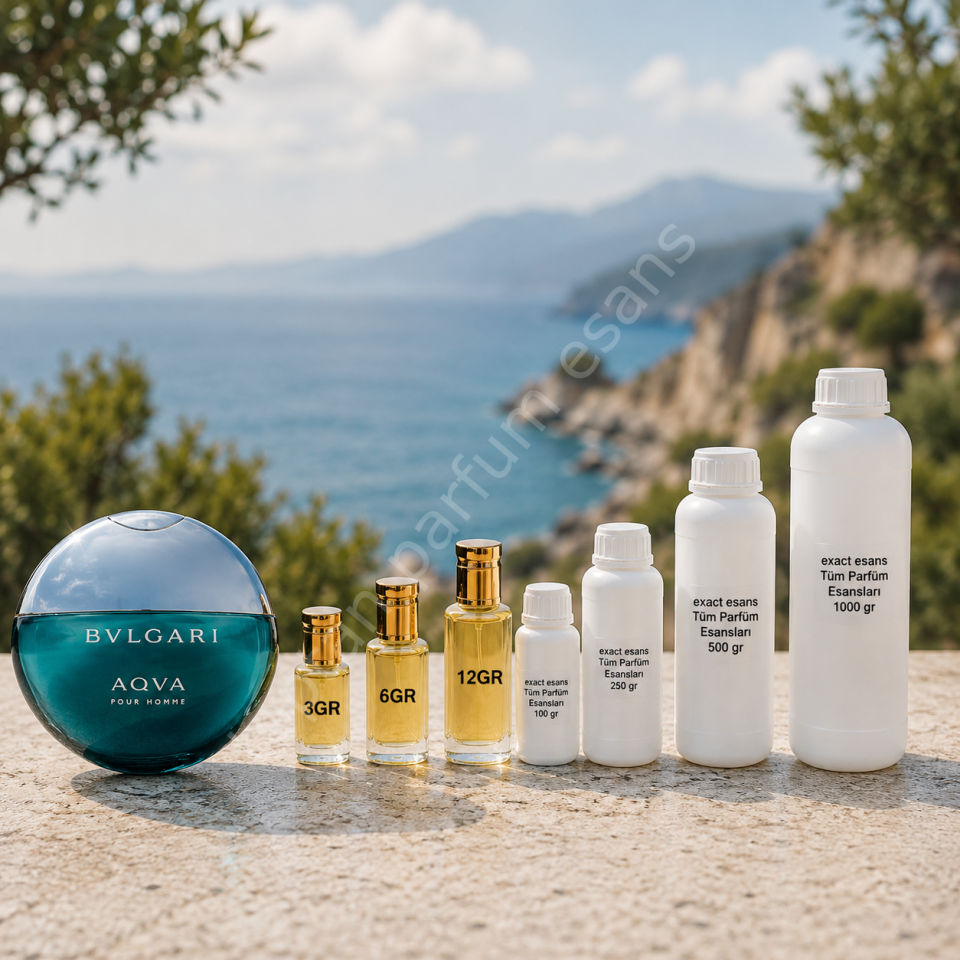 E2 Bvlgari Aqva Erkek Toptan Parfüm Esansı