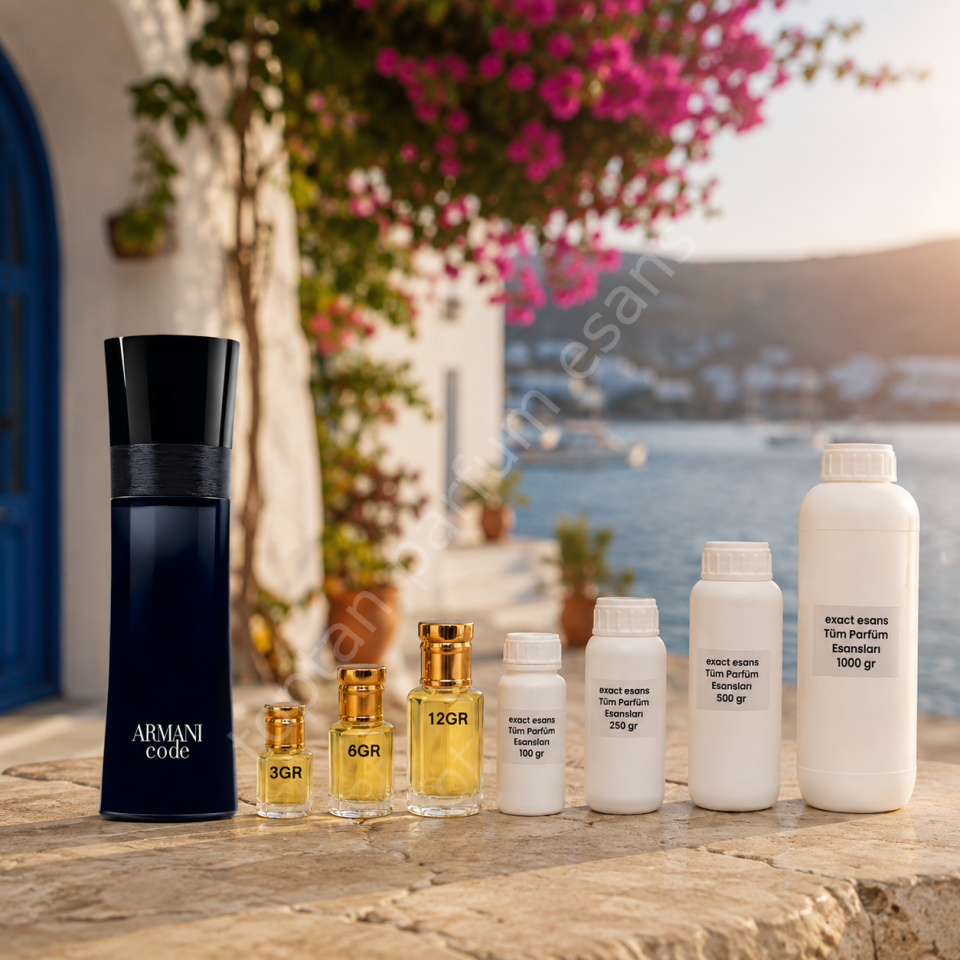 E22 Armani Black Code Erkek Toptan Parfüm Esansı