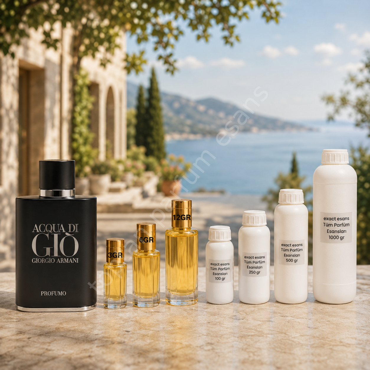 E66 Armani Profumo Erkek Toptan Parfüm Esansı