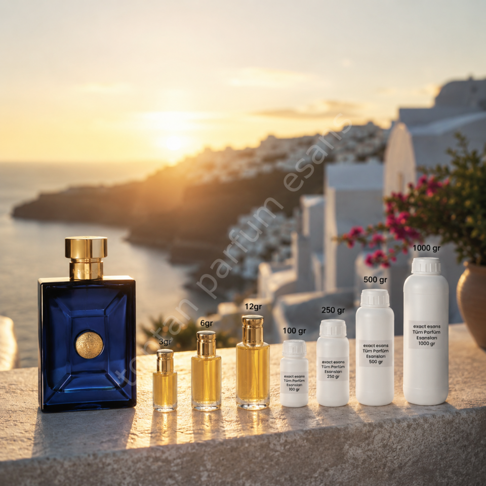 E80 Versace Dylan Blue Erkek Toptan Parfüm Esansı