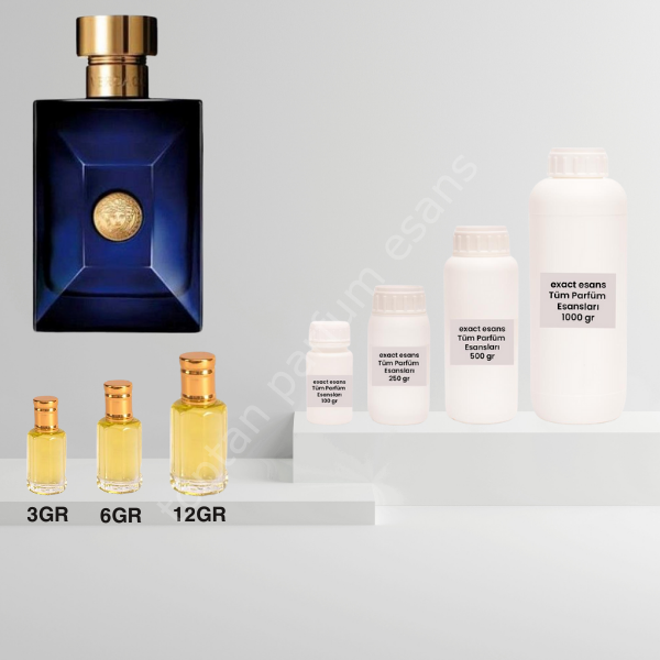 E80 Versace Dylan Blue Erkek Toptan Parfüm Esansı