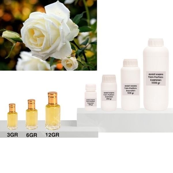 Beyaz Gül Esansı Toptan
