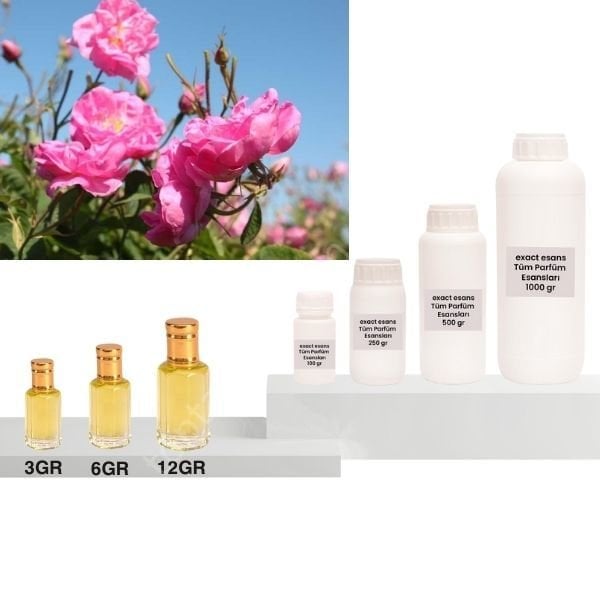Isparta Gül Esansı Toptan