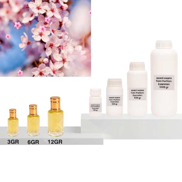 Japon Kiraz Çiçeği Esansı Toptan