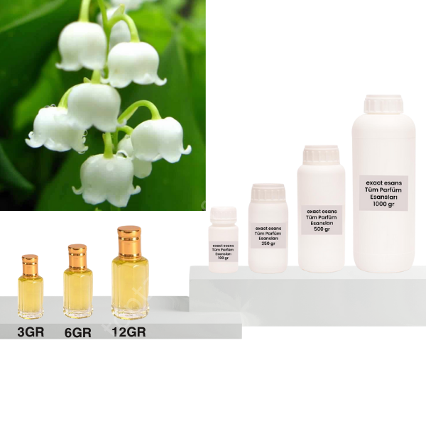 Müge Çiçeği Esansı Toptan