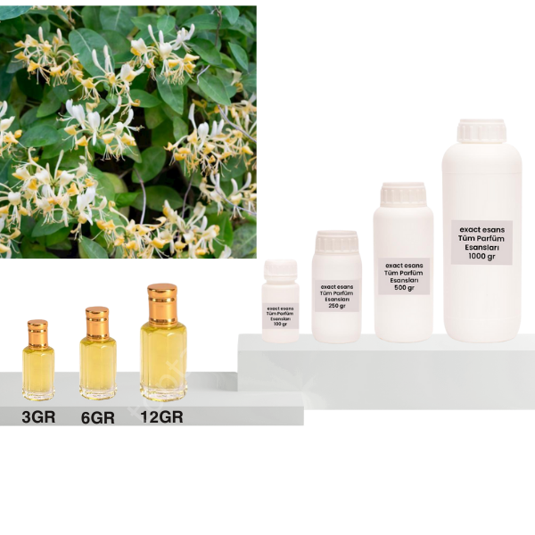 Hanımeli Esansı Toptan