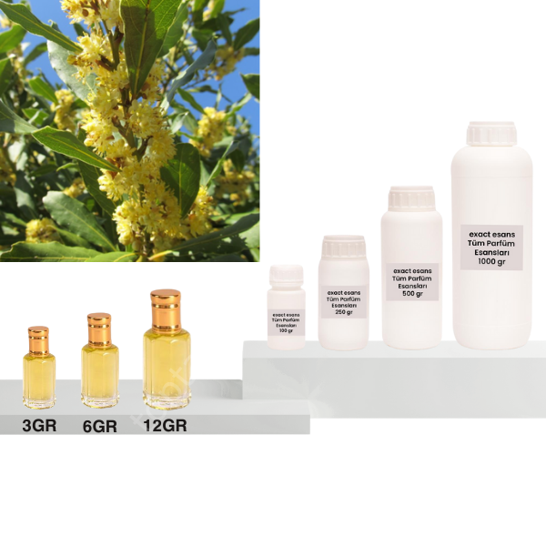 Defne Esansı Toptan