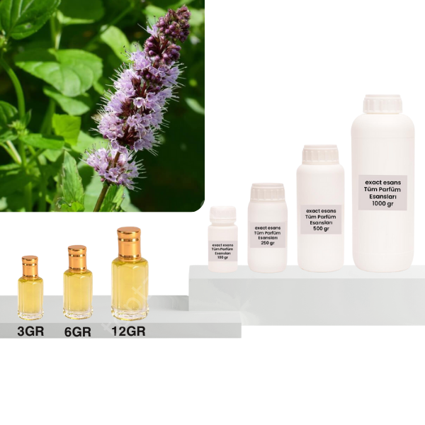 Patcholi Esansı Toptan