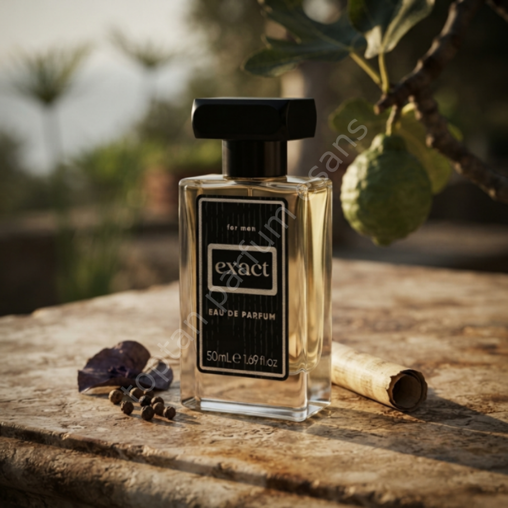 E-80 Dylan Blue Erkek Parfümü 50ml